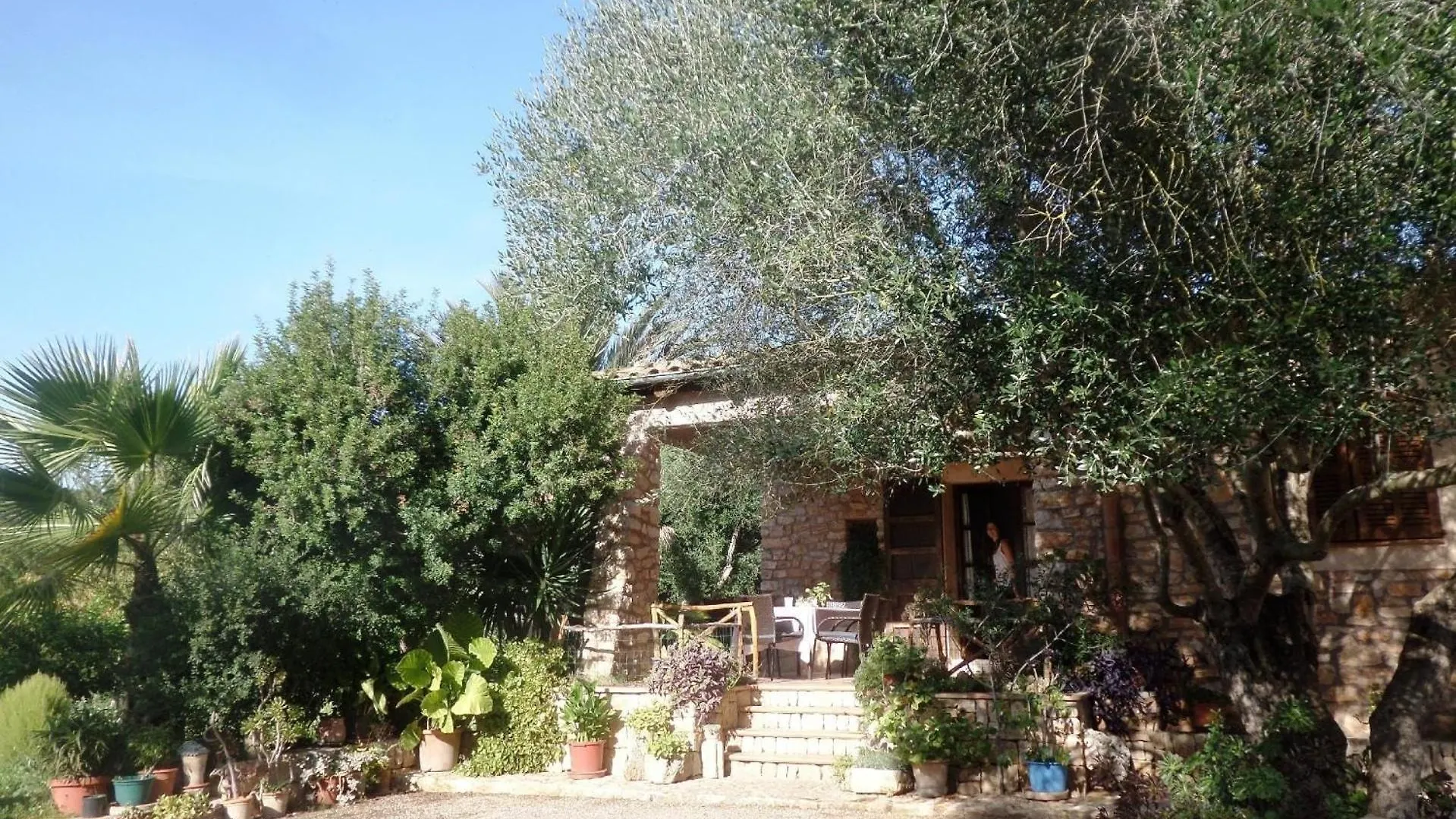 Finca Casa Alba - Manacor  0*, Manacor (Mallorca)