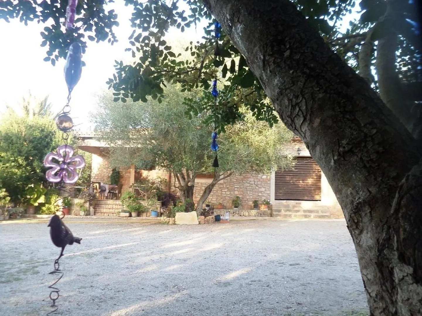 Finca Casa Alba - Manacor  Manacor (Mallorca)